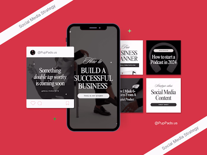 Social Media Strategy/Audit for PupPads.us.