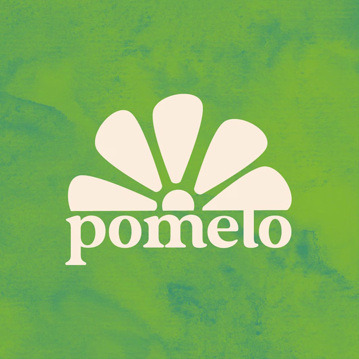 Brand Design + Social Media Pinned Post Designs, Lifestyle Brand