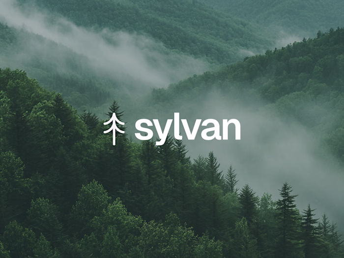 Branding and web design for Sylvan