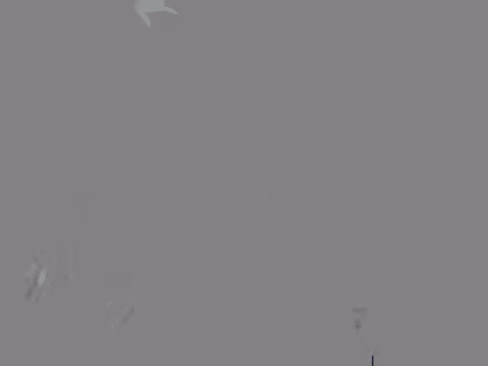 Virtual Assistant Support for a Startup