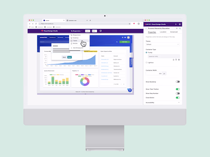 Pioneering in the digital adoption sphere