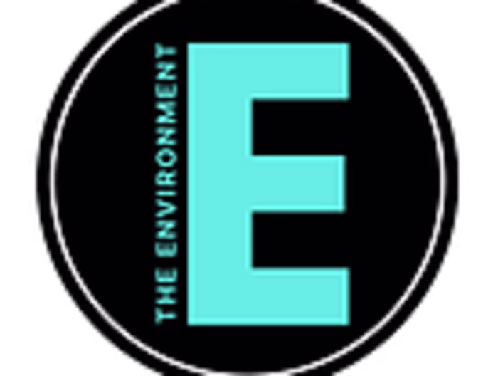 Article Copy | The Environment