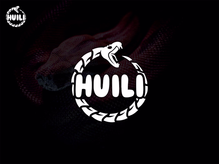 Brand Identity Design for Huili