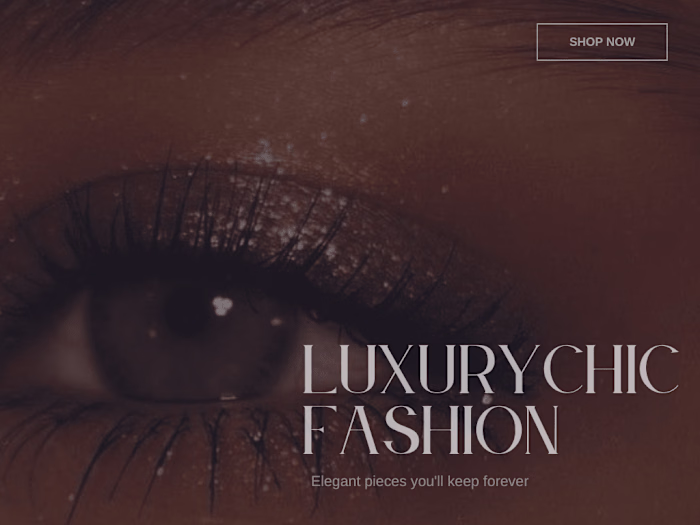  "Luxury Chic" fashion retail website design