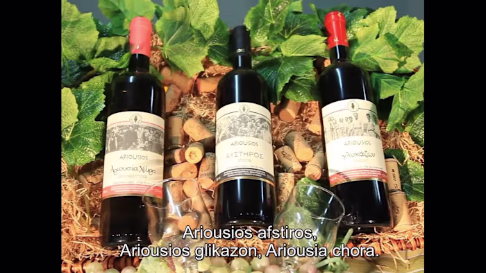 FR-ENG-GR Subtitles of Greek wine spot