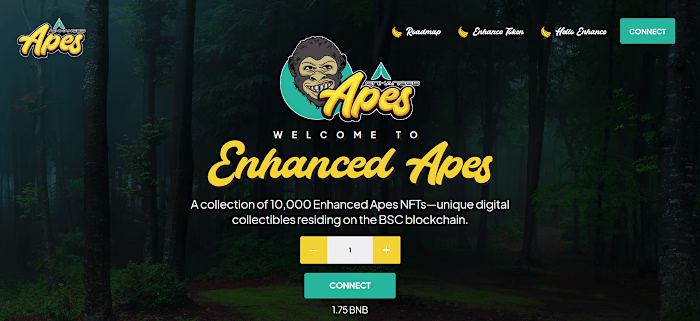 Enhanced Apes Web3 NFT Minting Engine Development