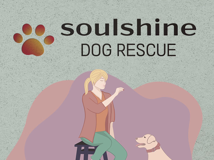 Responsive Website and Logo Design for Non-Profit