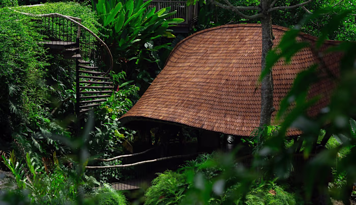 Photograpy for Nirjhara