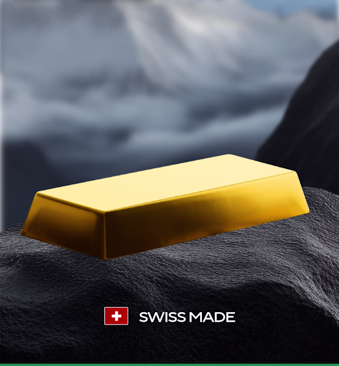 Influencer Marketing and Social Strategy for Ozzir SA