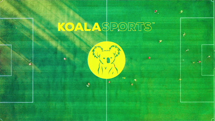 Branding + Website for Sports League 