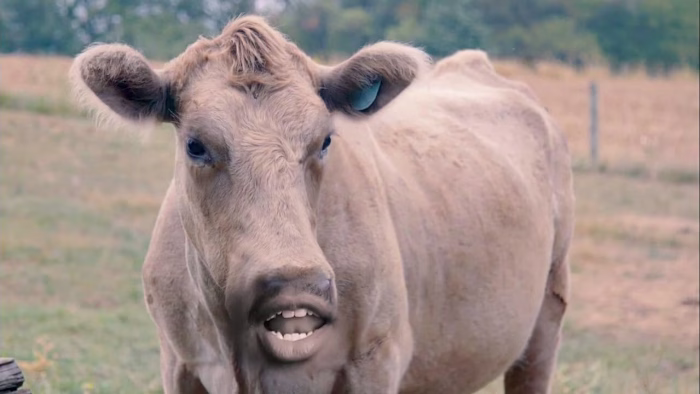 Fall Fest - Crosspoint Church