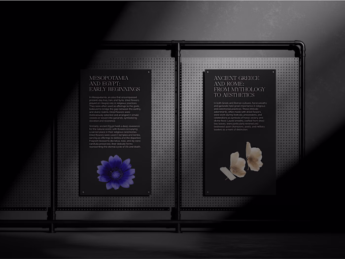 The Rich History Of Dried Flowers | Longread