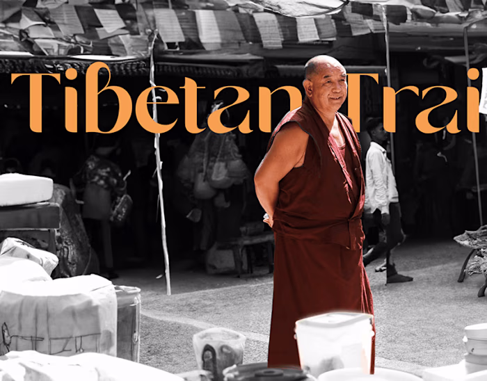 Website Design | AdTech website deisgn | UI-UX Design