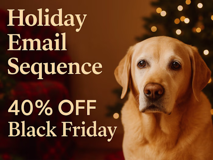 Holiday Email Sequence – Black Friday Promo (3 emails)