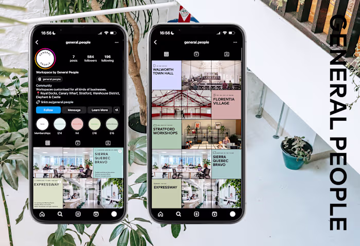 Brand Management and Asset Design 