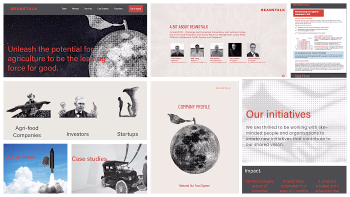 Beanstalk :: Behance