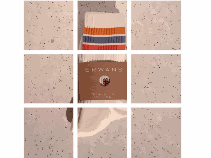 Social Media Content Creation and Management for Erwans Socks