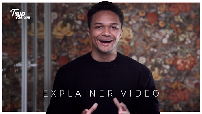 PROMOTIONAL AND EXPLAINER VIDEO (TRAVEL) - tryp.com