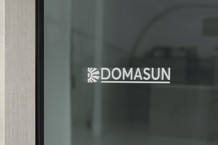 Forging the Future: Domasun's Vision for Your Digital Presence