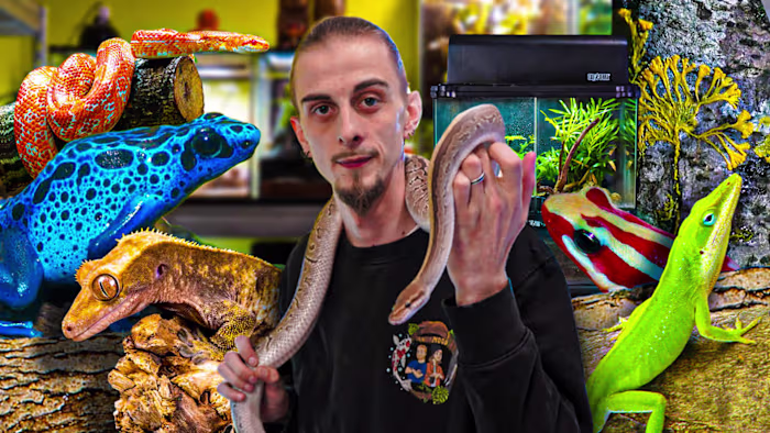 ANI' MOOD YOUTUBE THUMBNAILS