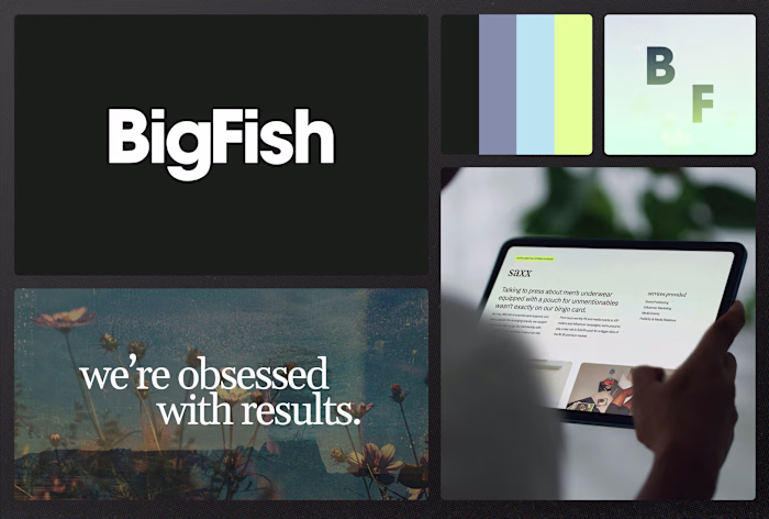 Big Fish Collective