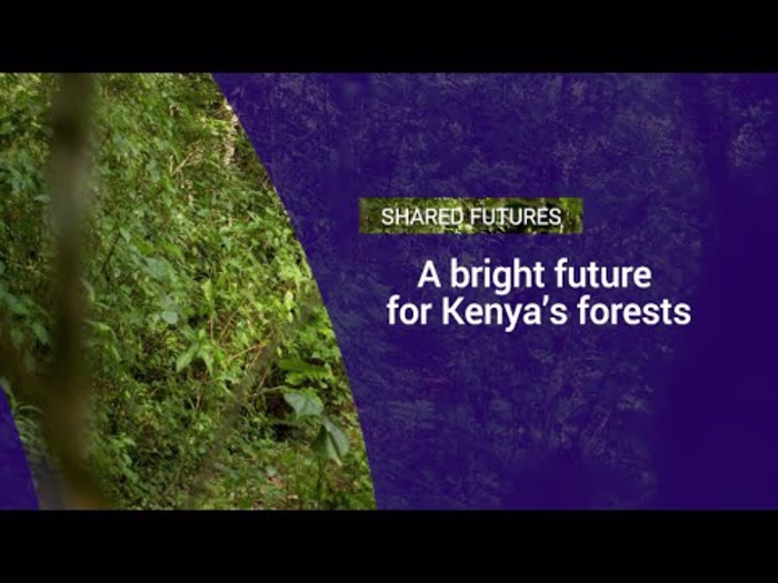 A bright future for Kenya's forests - YouTube