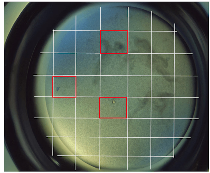 At Formulatrix, I led the