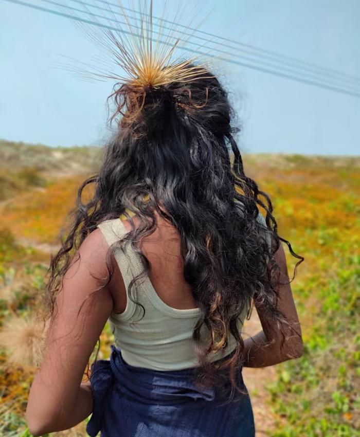 SHORT STORY -SUMMER BIRDS-CALAMITY KISSES