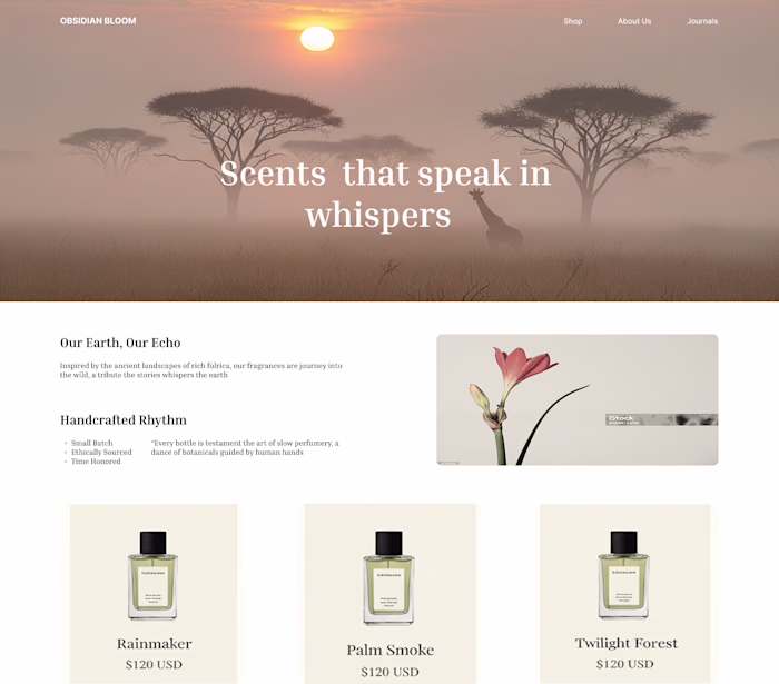 I Usually Wondered why some Clients only Just want a landing...