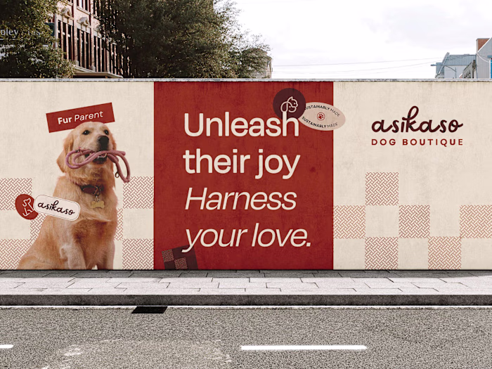 Asikaso | Branding and Visual Identity