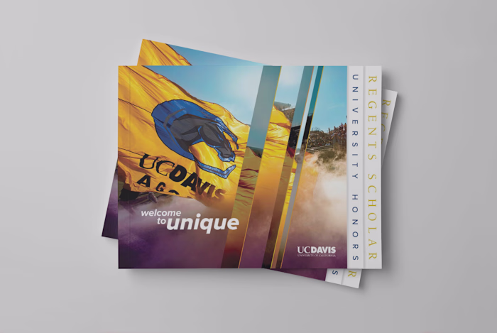 University Marketing Campaign Design for UC Davis