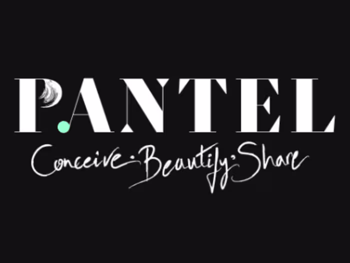 Webdesign | In-house designer @Pantel Agency