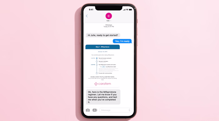 Motion Graphics: Explainer Video for carafem