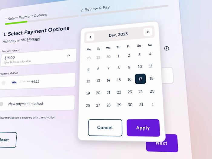 Payment Website Design & Landing Page