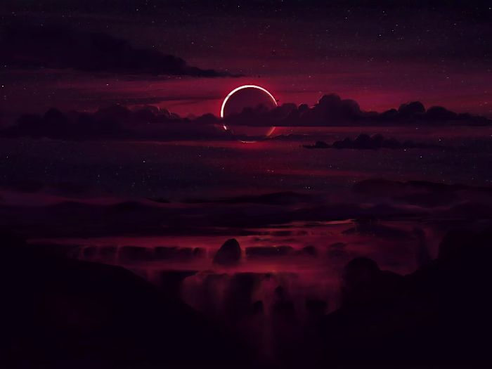 Website Copy for a Health Food Company