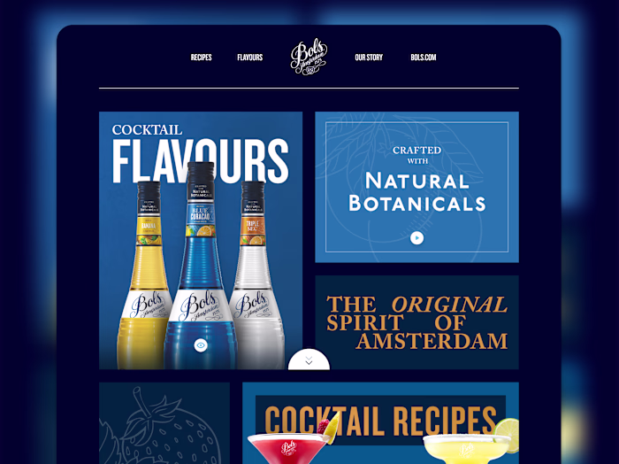 Bols Shopify Instant Website Development