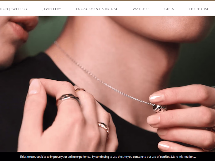 Ecommerce Web Development