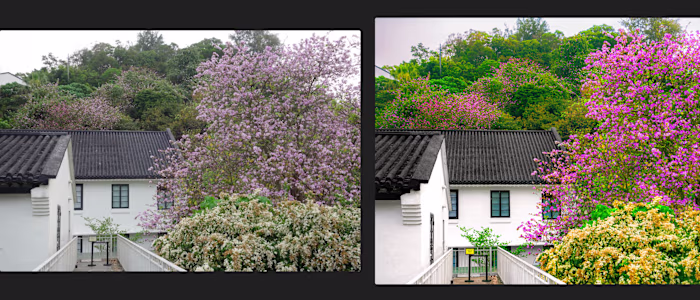 Retouching and Enhancement