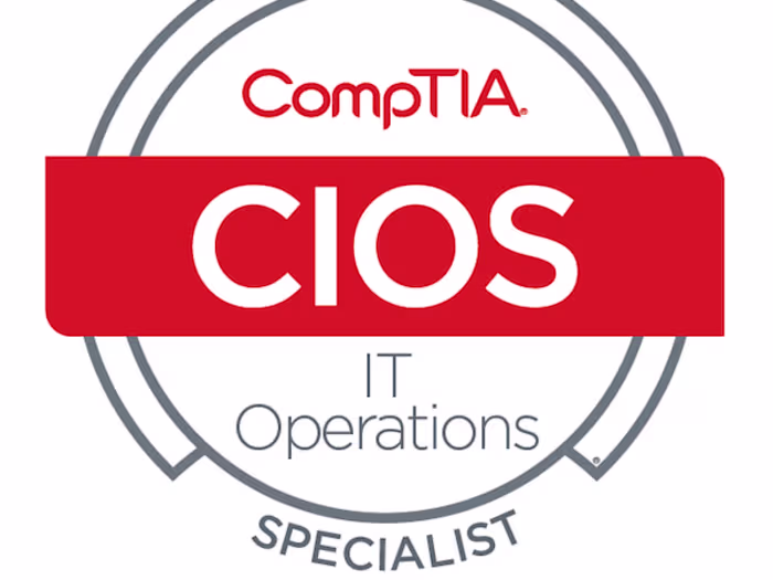 Expert IT Consulting 