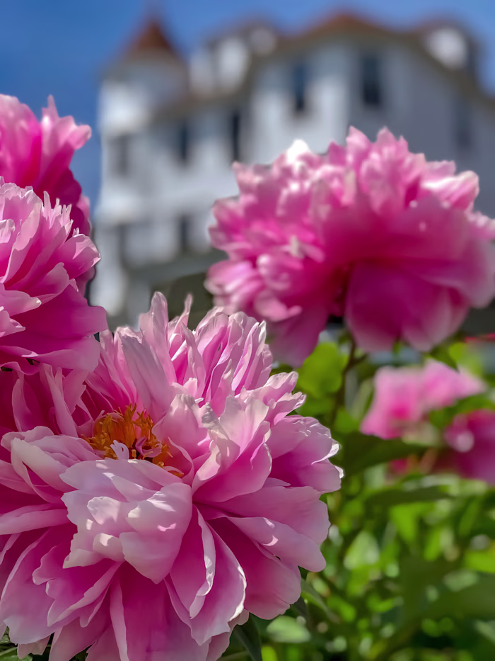 Mackinac Island Spring Vacation Destination - Best Time to Visi…