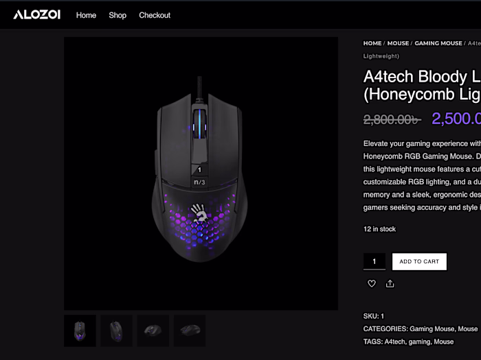 ALOZOI: E-commerce Website Development