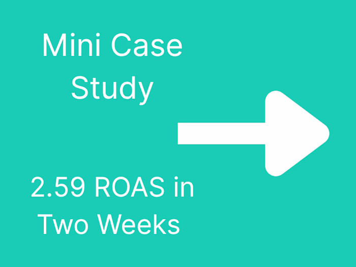 Mini Case Study | 2.59 ROAS in Two Weeks