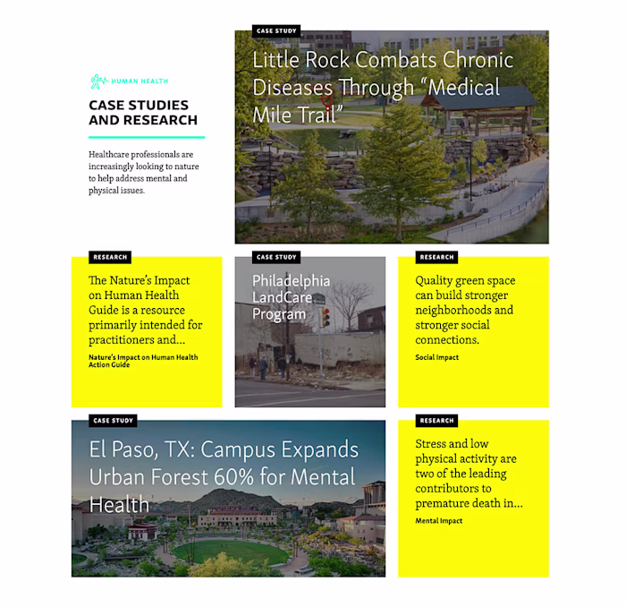 Vibrant Cities Lab site
