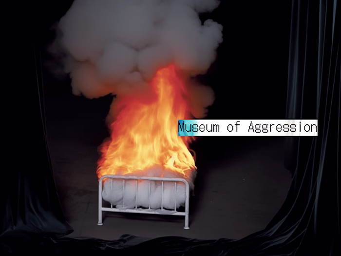 Museum Of Aggression