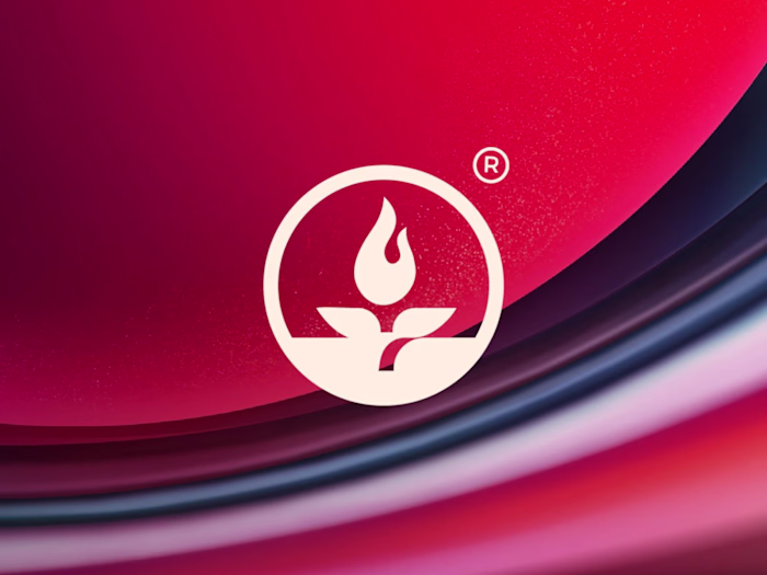 Shepherdhill – Premium Brand Identity