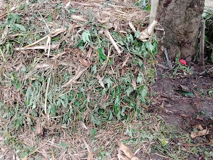 VIDEO I MADE BY CAPCUT