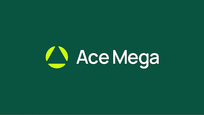 Visual identity & guidelines for Ace Mega ♻️