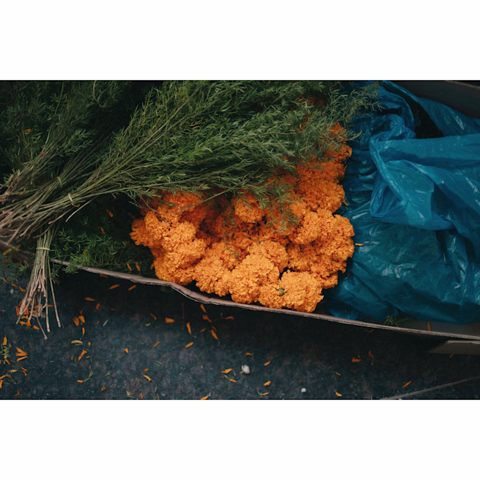 Elements. Asthetics. Colours :: Behance