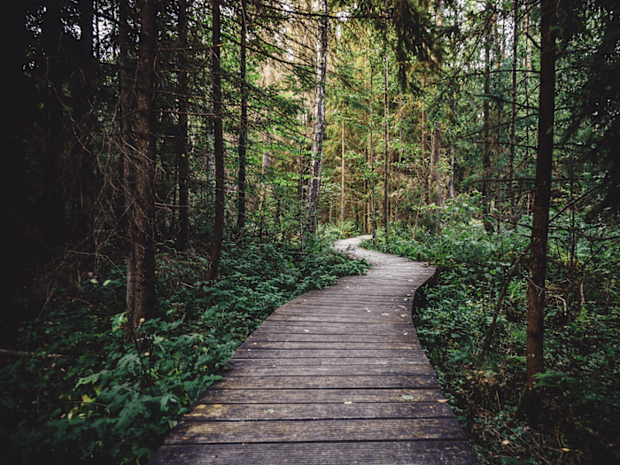 Copywriting for nonprofit technology and fundraising blog (2)