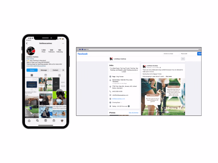 Limitless Canines: Marketing Manager